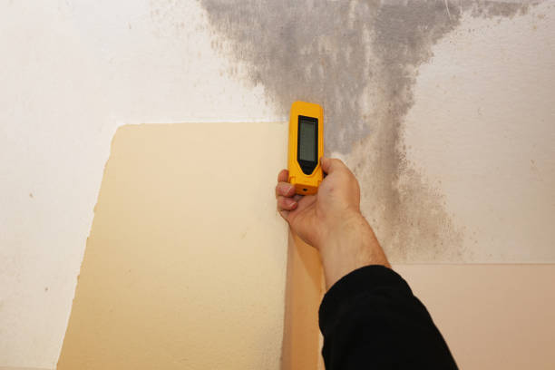 Best Air Quality Testing for Mold Spores  in Red Corral, CA