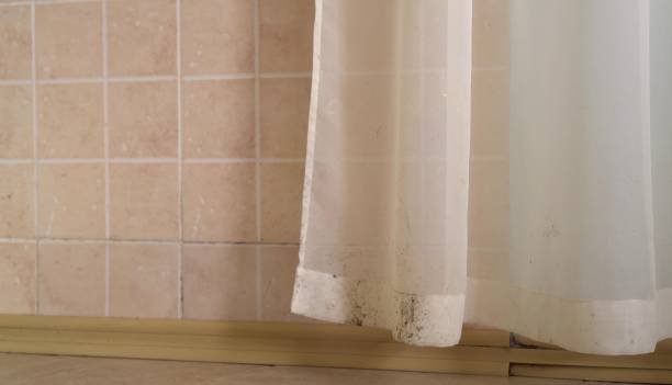 Best Real Estate Mold Inspection  in Red Corral, CA