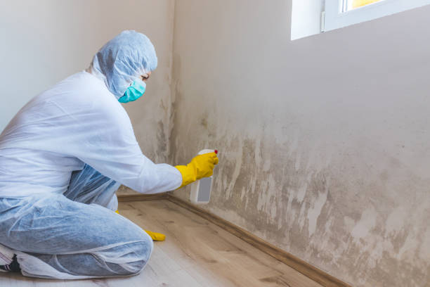 Best Airborne Mold Testing  in Red Corral, CA