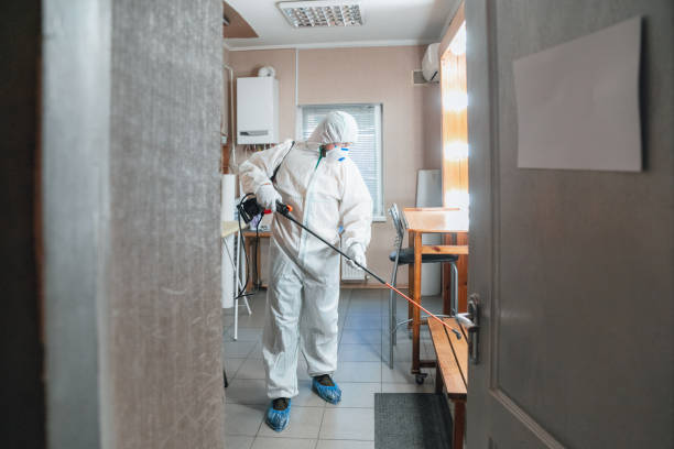 Best Mold Prevention Services  in Red Corral, CA