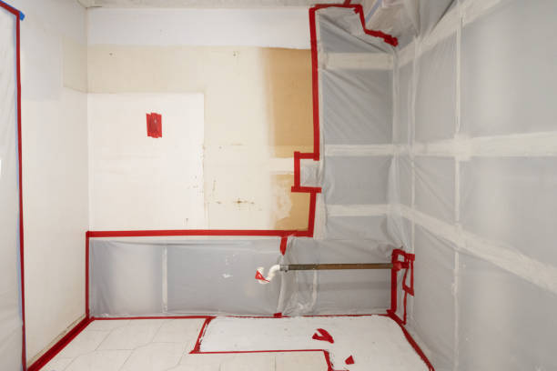 Best Mold Damage Restoration  in Red Corral, CA