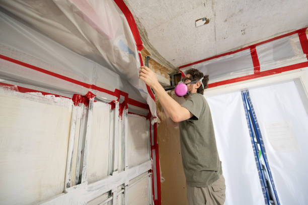 Professional Mold Removal in Red Corral, CA