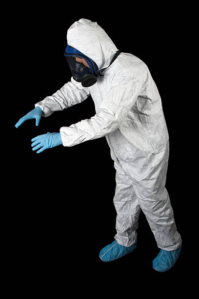Best Basement Mold Removal  in Red Corral, CA