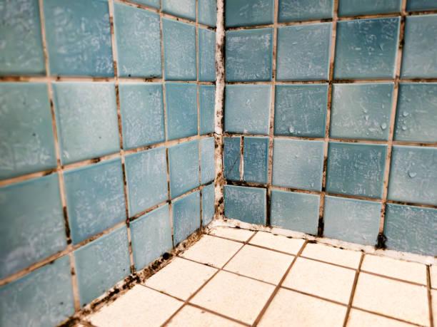 Best HVAC Mold Inspection and Cleaning  in Red Corral, CA